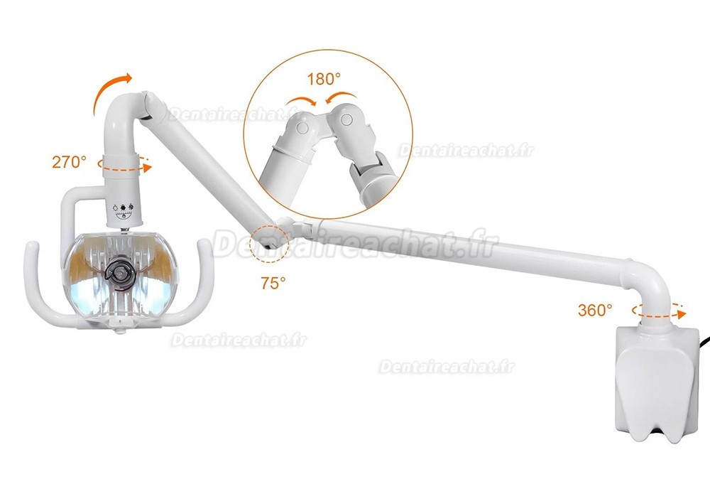 Lampe buccale &agrave; lumi&egrave;re froide murale dentaire 50 W, lampe d'examen dentaire